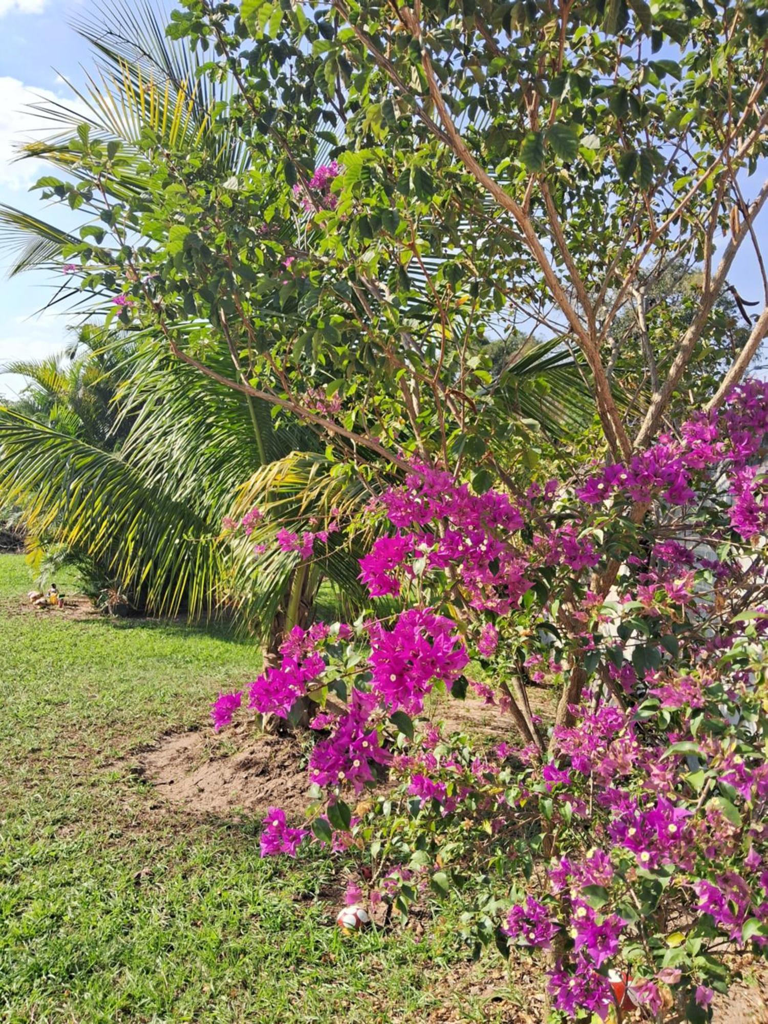 Pouso Zen Villa Araruama Exterior photo